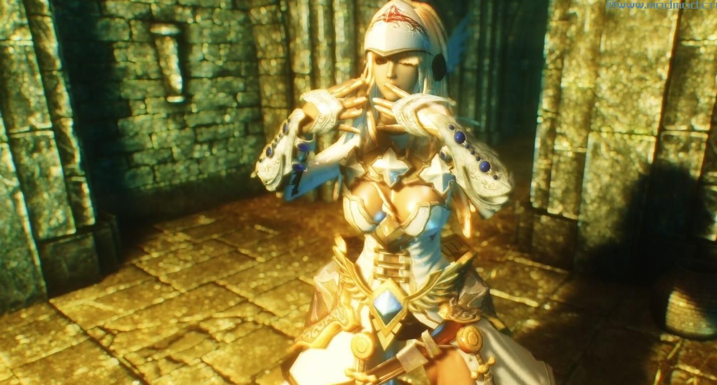 上古卷轴5：天际MOD ~~~老物重置~~~~女武神混搭装【瓦尔哈拉英灵】