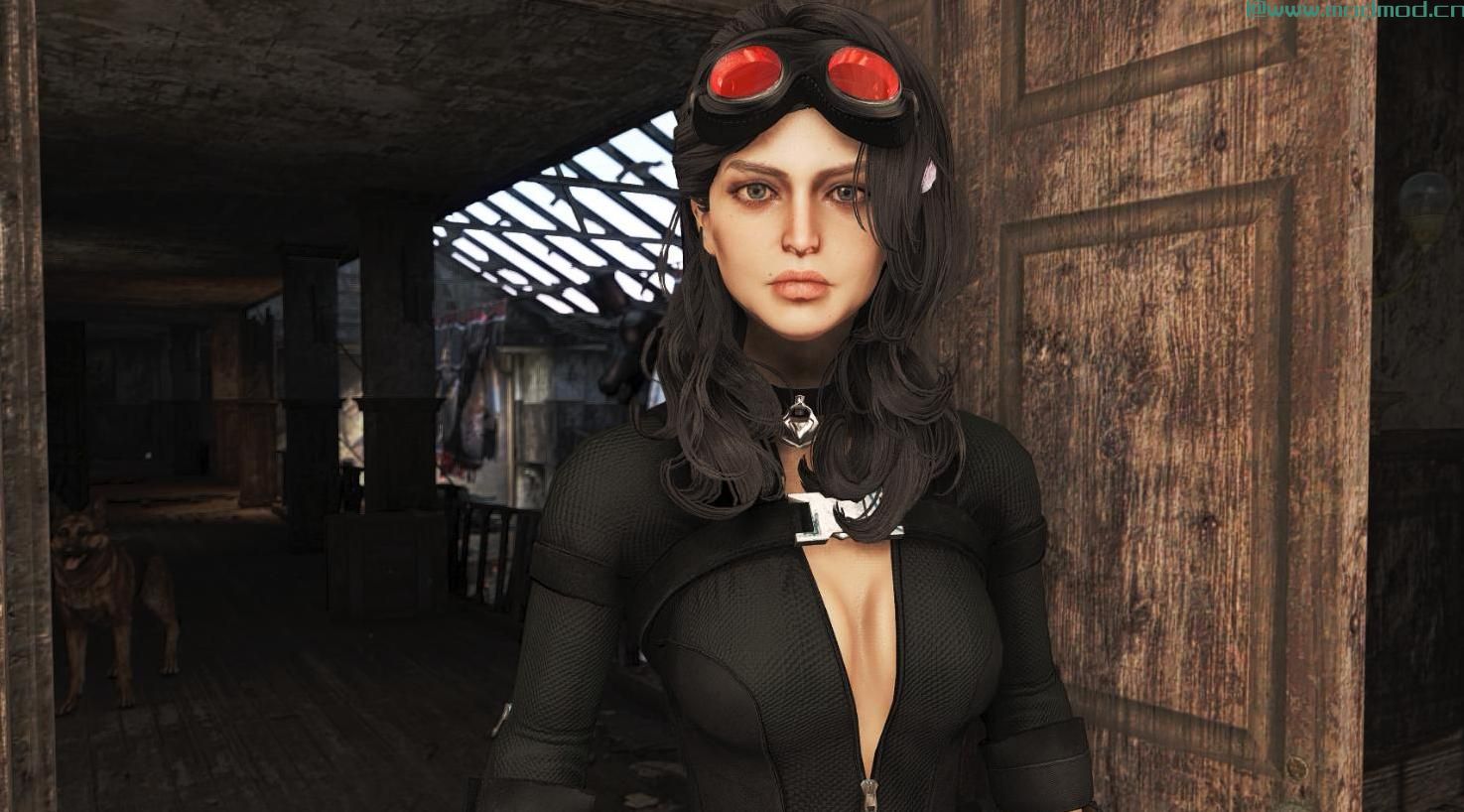 辐射4MOD LooksMenu的风景如画的预设