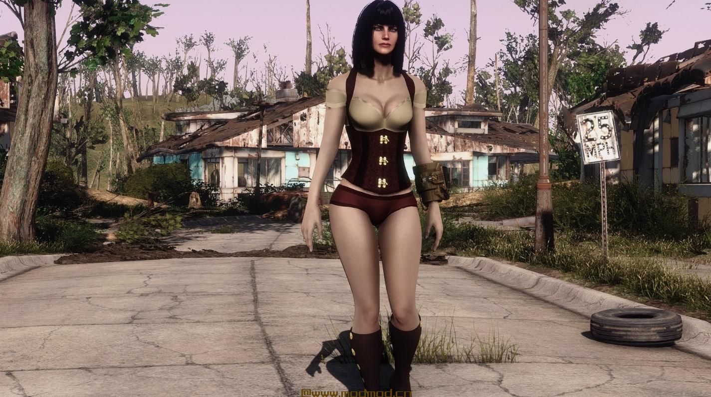 Ashara FO4蒸汽朋克女士 -  CBBE  -  BodySlide