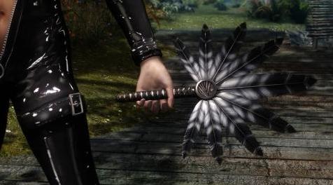 上古卷轴5：天际MOD DOA5女天狗的紧身皮衣分享出来啦！有能力的滚友快去原址点赞吧！