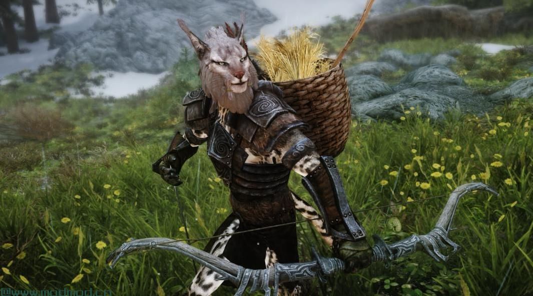 上古卷轴5：重置版MOD Khajiit随从
