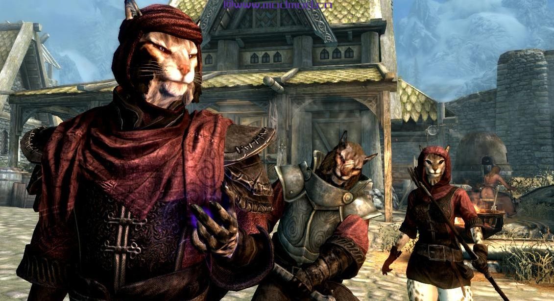 上古卷轴5：重置版MOD Redguard Wizard Mantle