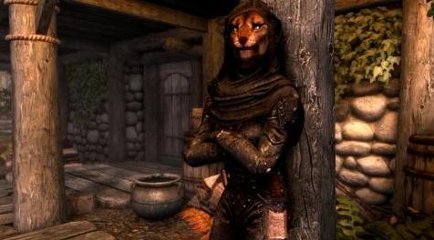 上古卷轴5：重置版MOD JWD的刺客Ky&rsquo;ren-thia  - 一名女性Khajiit随从
