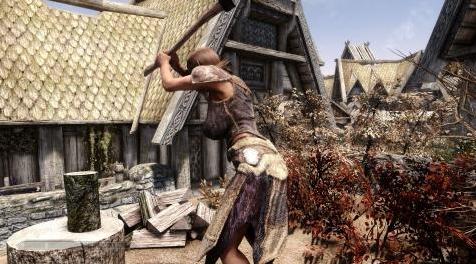 上古卷轴5：重置版MOD Woodchop Freecam