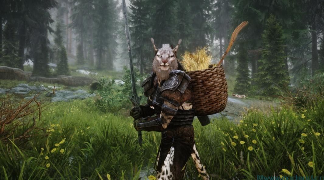 Khajiit随从