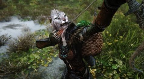 上古卷轴5：重置版MOD Khajiit随从