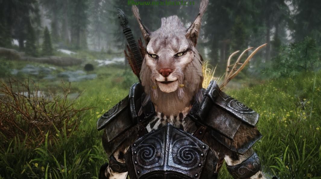 Khajiit随从