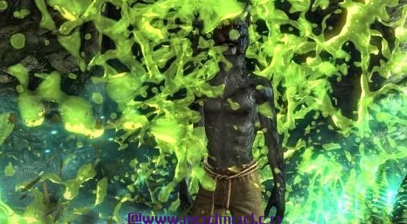 上古卷轴5：天际MOD N网中的可以变身的虎人随从德鲁伊