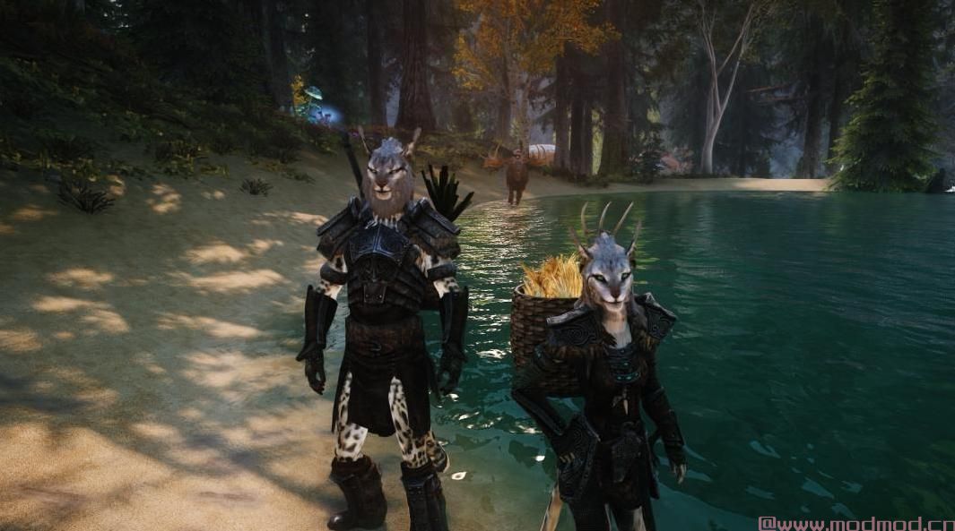 上古卷轴5：重置版MOD Khajiit随从