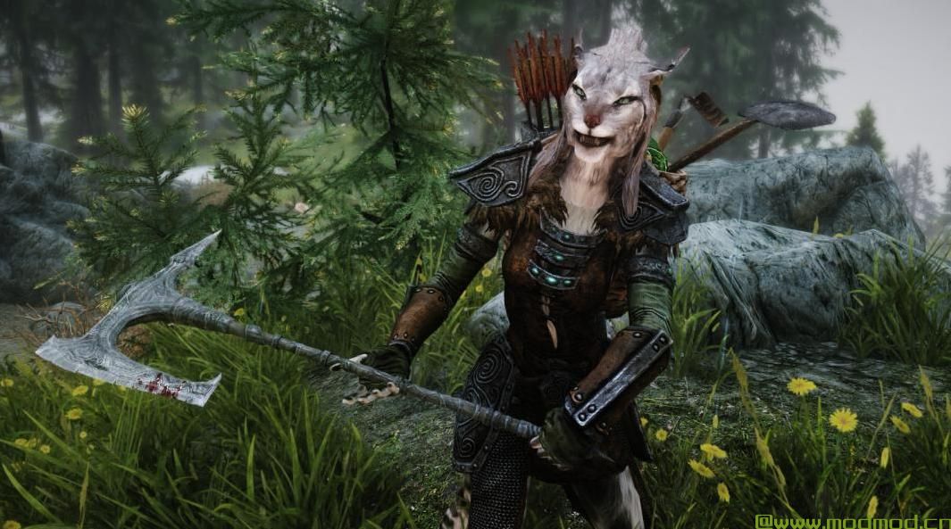 上古卷轴5：重置版MOD Khajiit随从