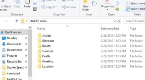 上古卷轴5：重置版MOD PC头跟踪BYOV类型 -  Harkon