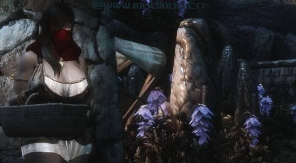 上古卷轴5：天际MOD Deadly Wenches （Immersive Wenches 扩展mod）1.2.1介绍+汉化esp