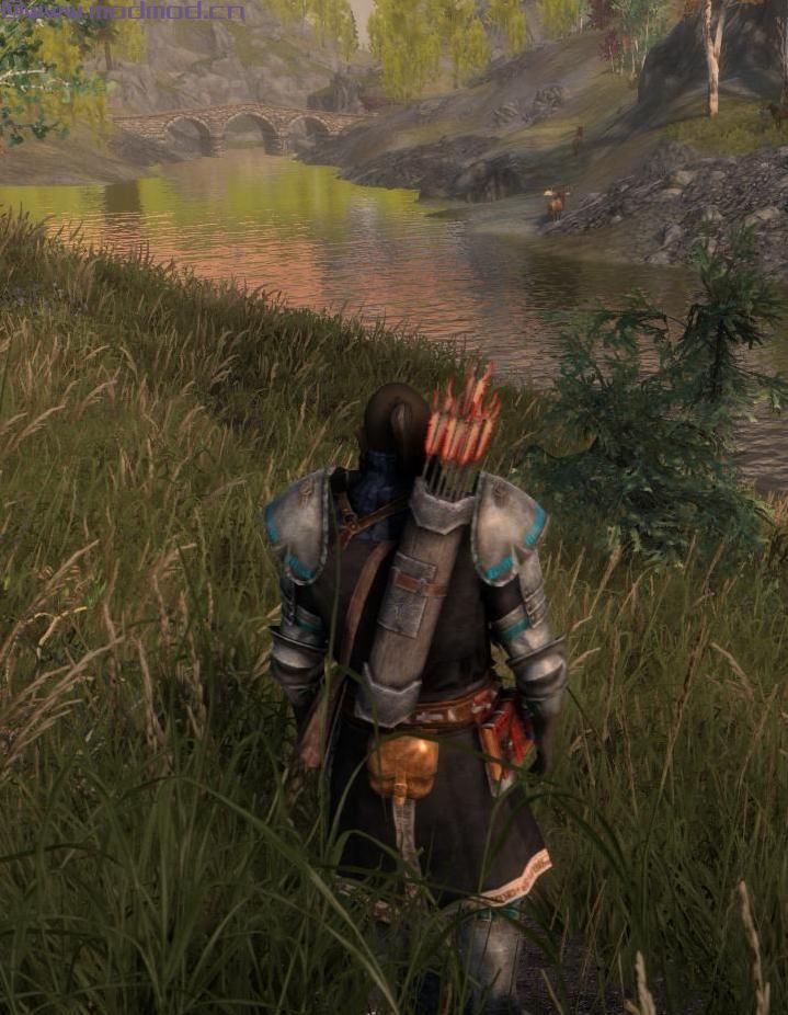 上古卷轴5：重置版MOD SoulMasters Quivers Resized