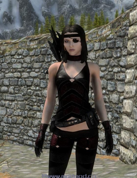 上古卷轴5：重置版MOD SoulMasters Quivers Resized