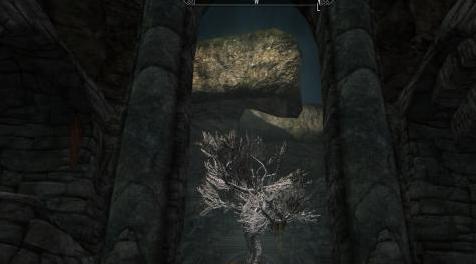 上古卷轴5：重置版MOD 龙的休息