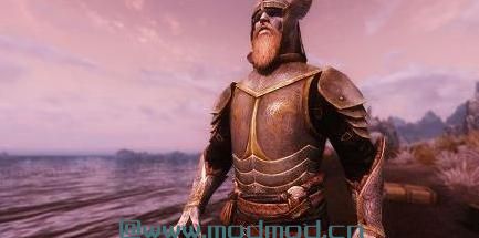 上古卷轴5：天际MOD 上古卷轴5：天际北欧征服者护甲MOD