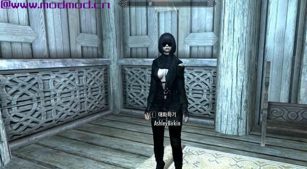 上古卷轴5：天际MOD  韩网眼镜 AshleyBirkin v2.0