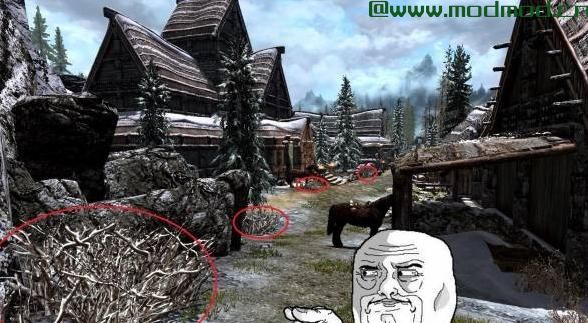 上古卷轴5：天际MOD insignificant Object Remover----无关紧要的物品去除[提升FPS】