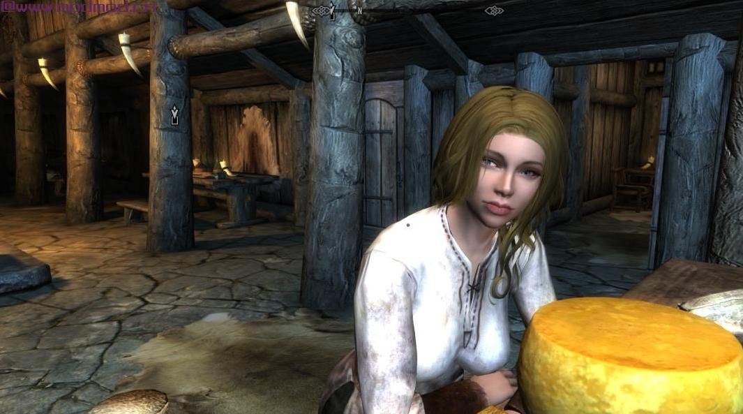 上古卷轴5：重置版MOD Hana（女Nord） -  NPC随从