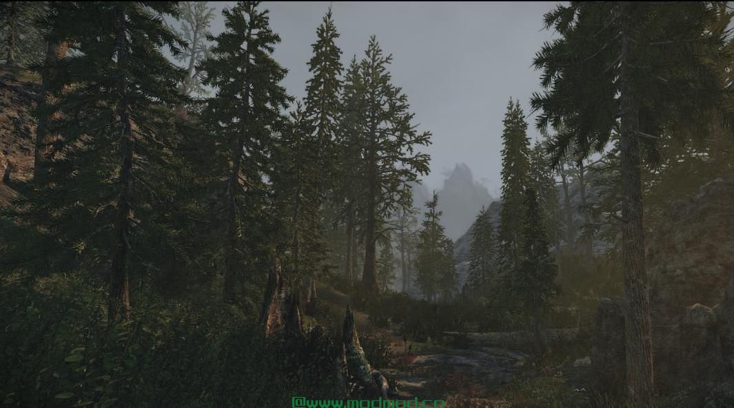 上古卷轴5：重置版MOD 性能ENB