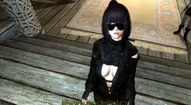 上古卷轴5：天际MOD  韩网眼镜 AshleyBirkin v2.0