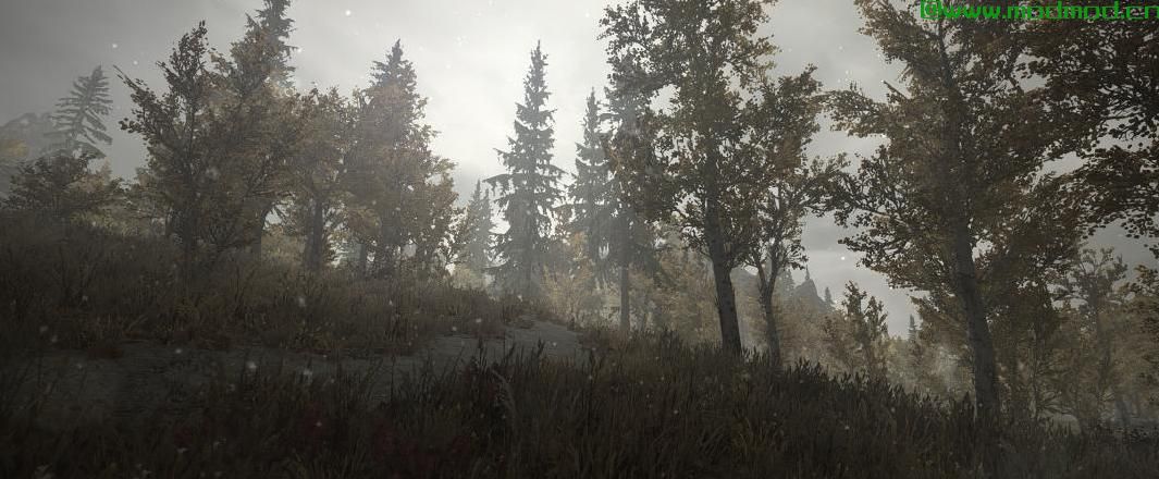 上古卷轴5：重置版MOD Alex的Reshade预设