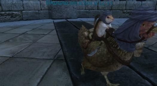 上古卷轴5：天际MOD 上古卷轴5天际仓鼠卷轴之鸡神骑士团MOD