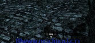 上古卷轴5：天际MOD 上古卷轴5：天际魔法MOD杀鸡之箭