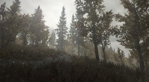 上古卷轴5：重置版MOD Alex的Reshade预设