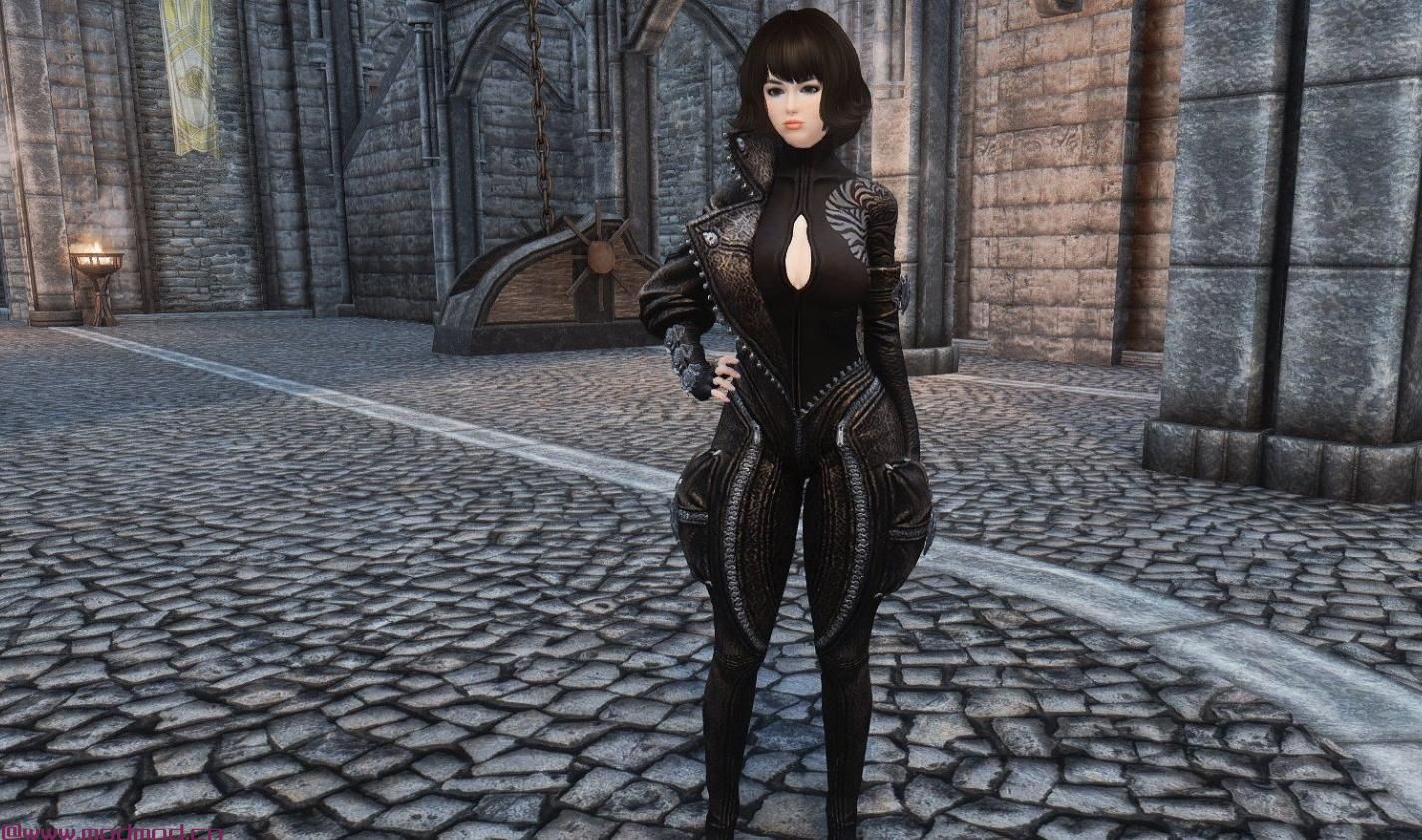 上古卷轴5：天际MOD 剑灵 黑虎&白龙 v1.1