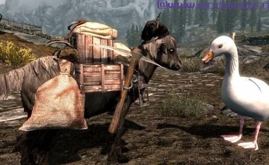 上古卷轴5：天际MOD 农场动物坐骑