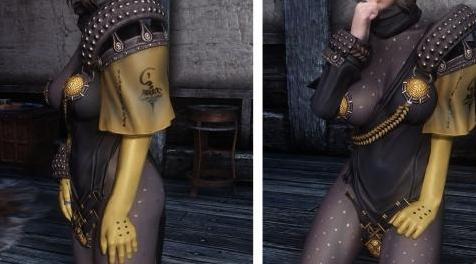 上古卷轴5：天际MOD 剑灵 帝国军  v1.0