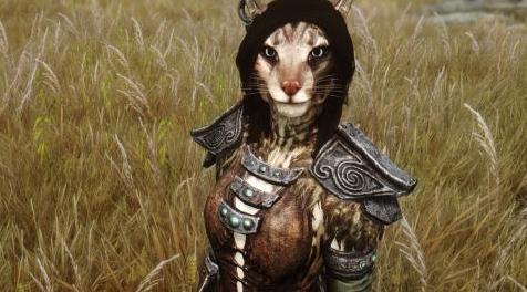 上古卷轴5：重置版MOD Kathia Ma Khajiit随从
