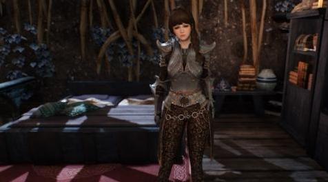 上古卷轴5：天际MOD BDOClead    v0.8