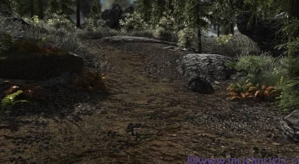 上古卷轴5：天际MOD insignificant Object Remover----无关紧要的物品去除[提升FPS】
