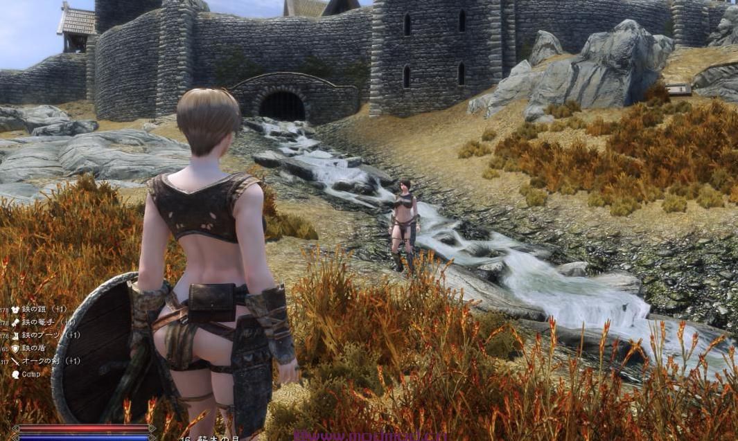上古卷轴5：重置版MOD R Wiz Addon
