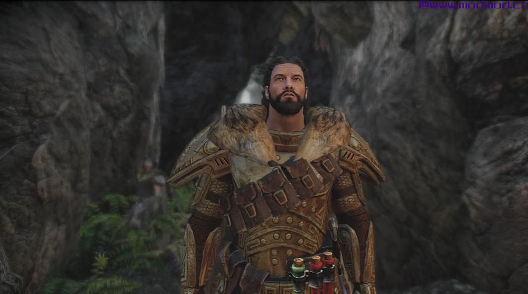 上古卷轴5：重置版MOD 性能ENB
