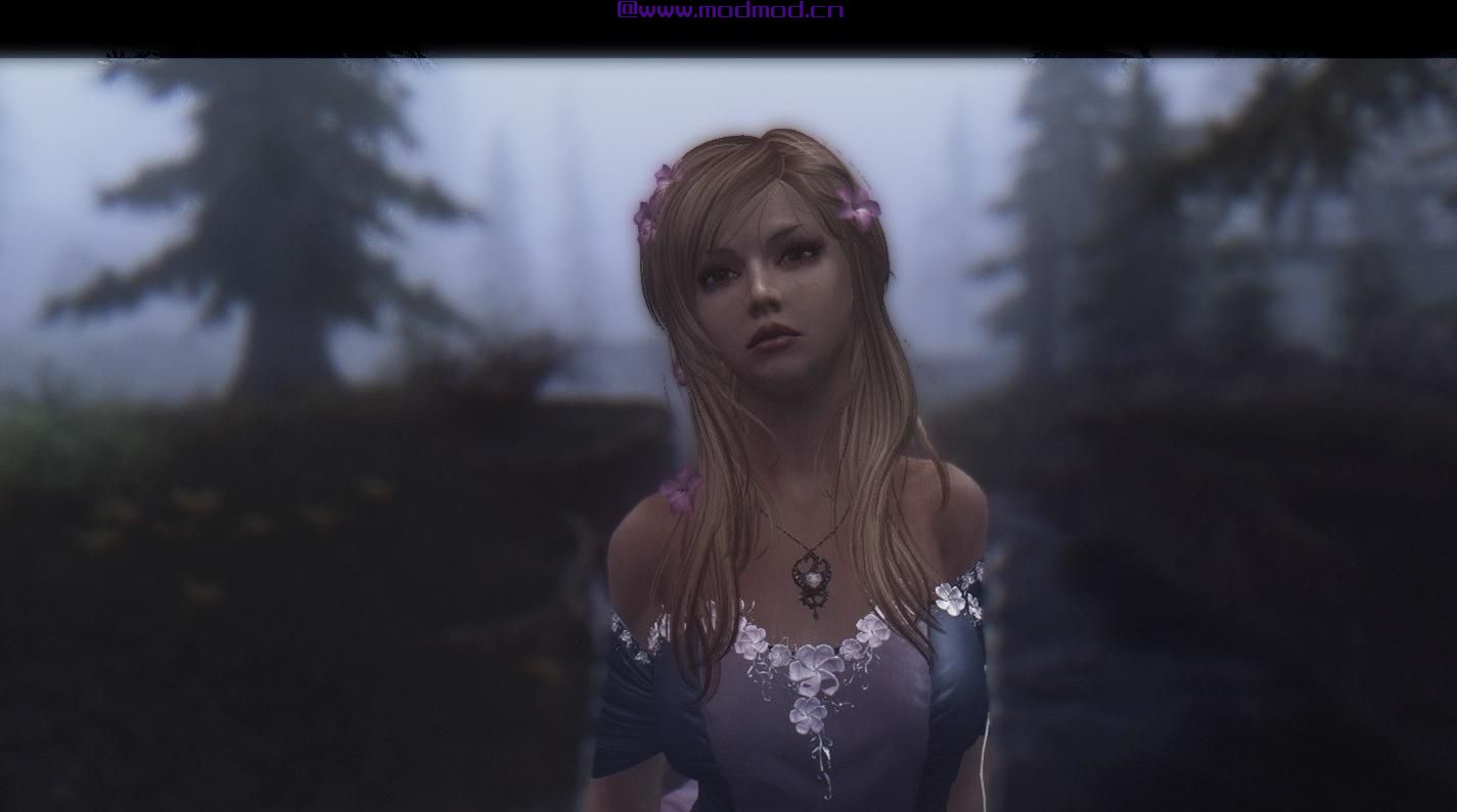 上古卷轴5：天际MOD 上古卷轴5：天际美化版龙心女孩米拉随从MOD