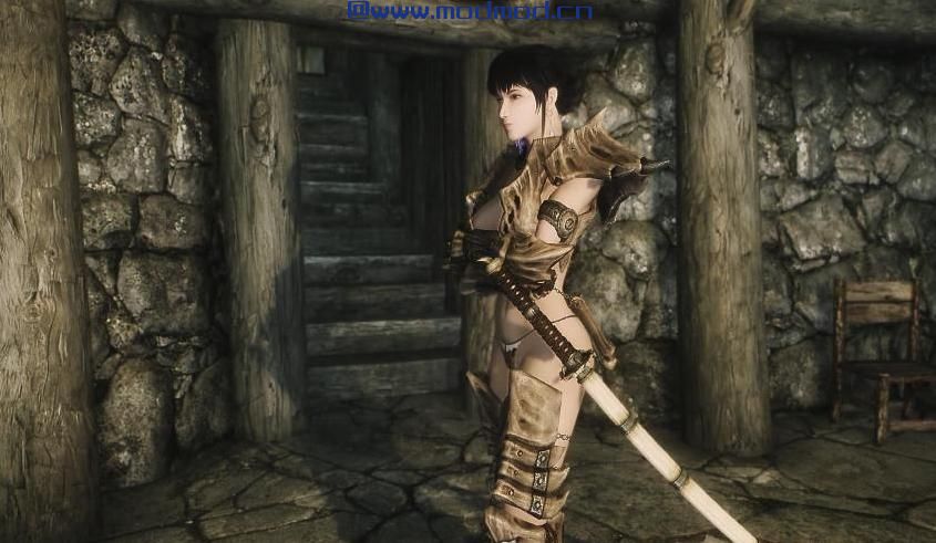 上古卷轴5：天际MOD 上古卷轴5：天际龙祸汉化版
