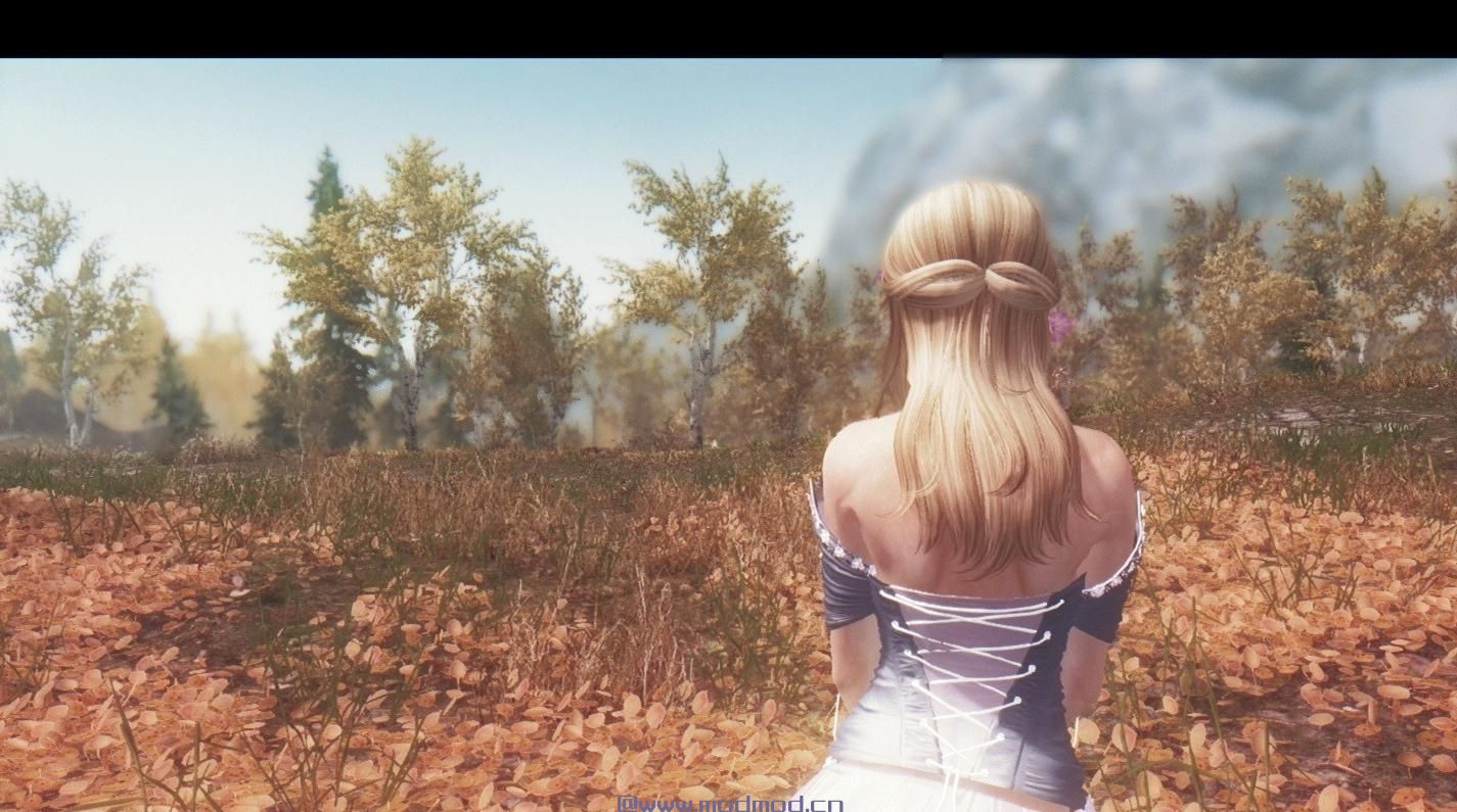 上古卷轴5：天际MOD 上古卷轴5：天际美化版龙心女孩米拉随从MOD