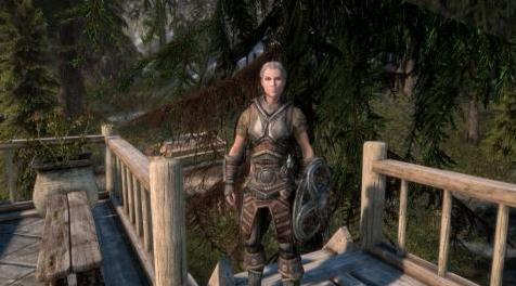 上古卷轴5：重置版MOD Lakeview Manor Nord Women