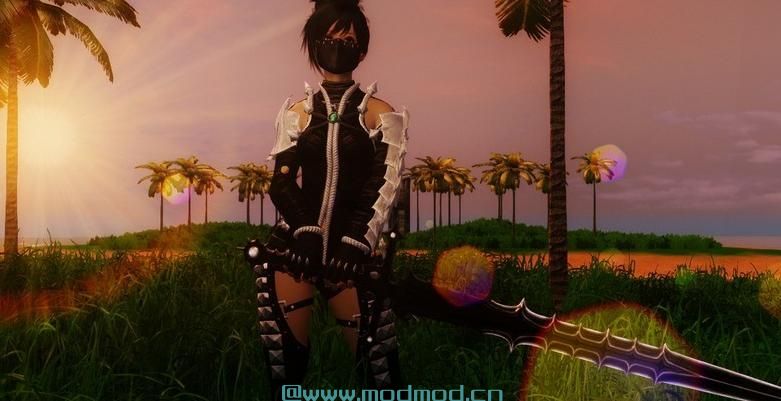 上古卷轴5：天际MOD 上古卷轴5：天际少女卷轴之先驱巨剑