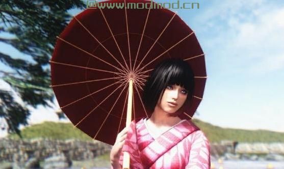 上古卷轴5：天际MOD  上古卷轴5：天际小夜随从MOD 汉化版
