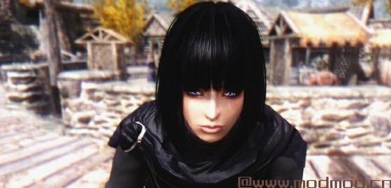 上古卷轴5：天际MOD  上古卷轴5：天际小夜随从MOD 汉化版