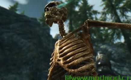上古卷轴5：天际MOD 上古卷轴5：天际骷髅材质大修4K版