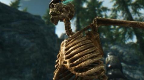 上古卷轴5：天际MOD 上古卷轴5：天际骷髅材质大修4K版