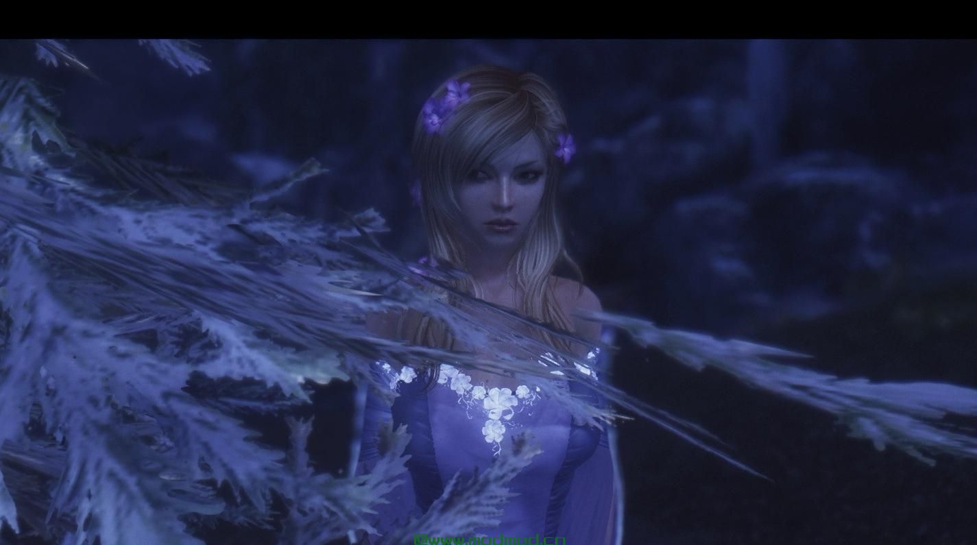 上古卷轴5:天际美化版龙心女孩米拉随从MOD