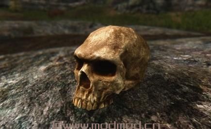 上古卷轴5：天际MOD 上古卷轴5：天际骷髅材质大修4K版