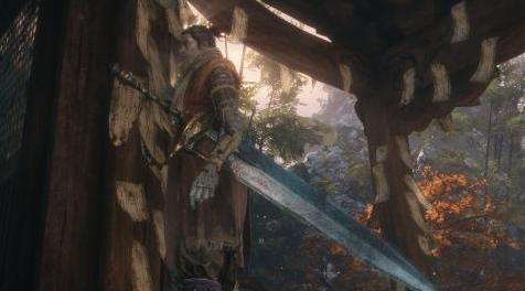 只狼：影逝二度MOD 月光大宝刀（Swords of Moonlight）