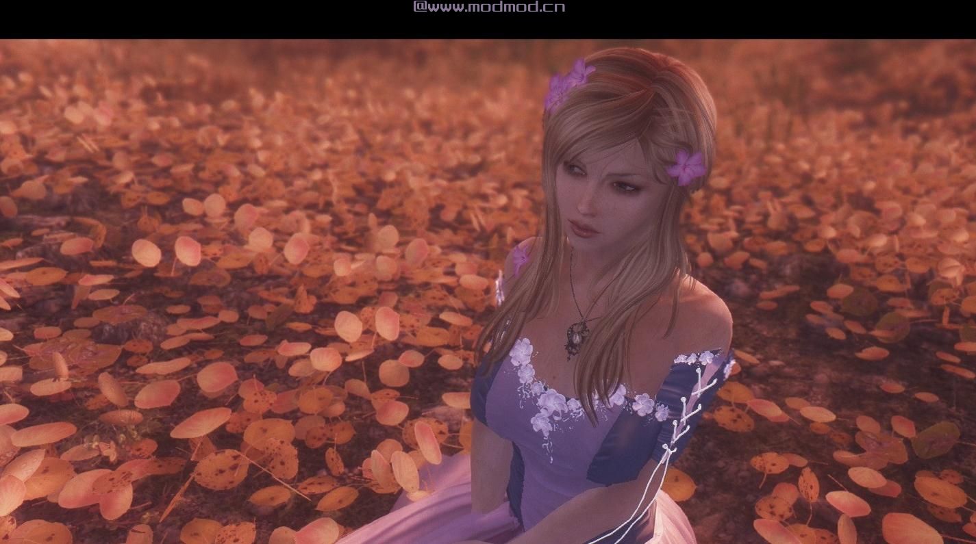 上古卷轴5：天际MOD 上古卷轴5：天际美化版龙心女孩米拉随从MOD